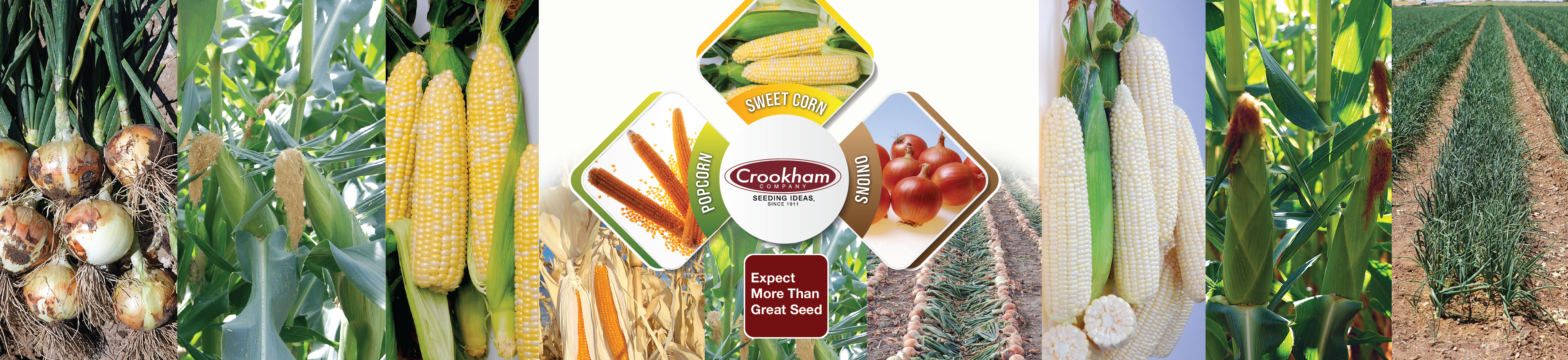 Crookham Company Southeast Crop Handbook Sweet Corn Onions