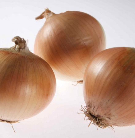 Crookham Onion Somerset