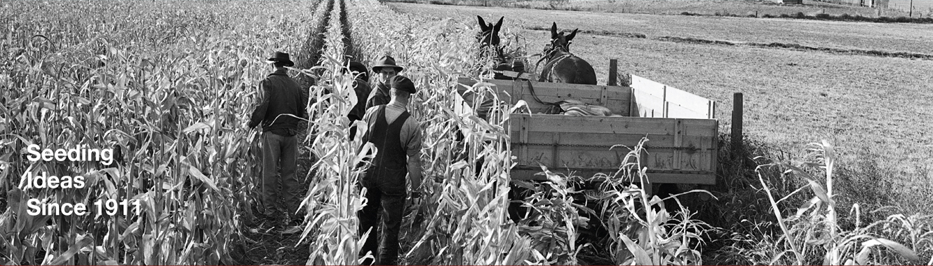 Seeding ideas since 1911
