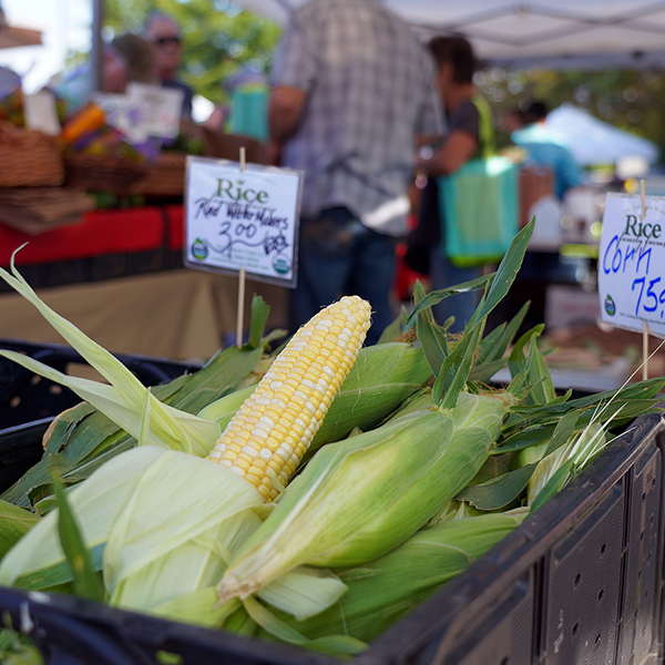 Nirvana The Nirvana Series Crookham Sweet Corn