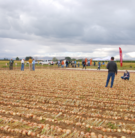 Crookham's 2018 Onion Show image, wide