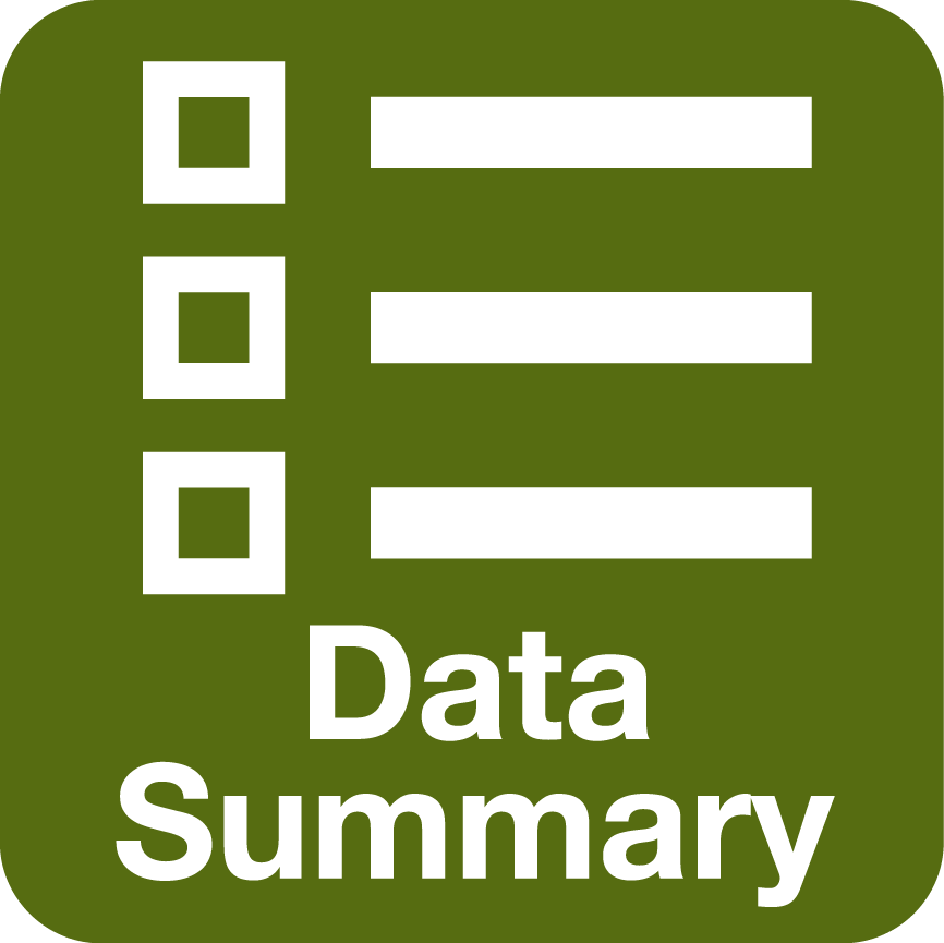 Data Summary Icon