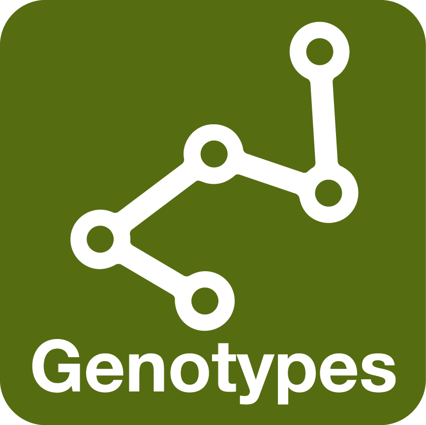 Genotype Icon