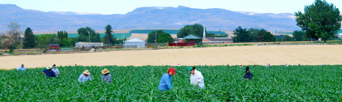 Treasure Valley Farming