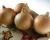 Crookham Onion Avalon
