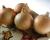 Crookham Onion Avalon