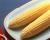 Crookham Sweet Corn Bodacious Film