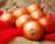Crookham Onion Caliber Long Day Onion Seed