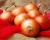 Crookham Onion Caliber Long Day Onion Seed
