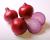 Crookham Onion  Purple Haze