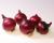 Crookham Onion Seed Red Ranger 15-1041