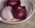 Crookham Onion Red Rock