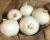 Crookham Onion White Ace