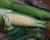 Crookham Sweet Corn Profit