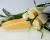 Crookham Sweet Corn Samson