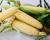 Crookham Sweet Corn Boom!
