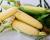 Crookham Sweet Corn Boom!