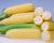 Crookham SweetCorn_CHYP18-1446