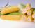 Salyna Crookham SweetCorn Processors