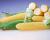 Royalty Sweet Corn Processors_Crookham Company