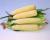 Inspiration Crookham Sweet Corn Fresh Market_16_1030