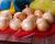 Delightful OIYS15-0092 Intermediate Onion Crookham Seed