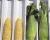 Crookham Company Fresh Market Sweet Corn  15-1005i sh2i