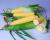 Enterprise Crookham Company Sweet Corn Processor Seed  