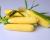 Prelude Sweet Crookham Company Corn Processor Seed Crookham Company ears on table