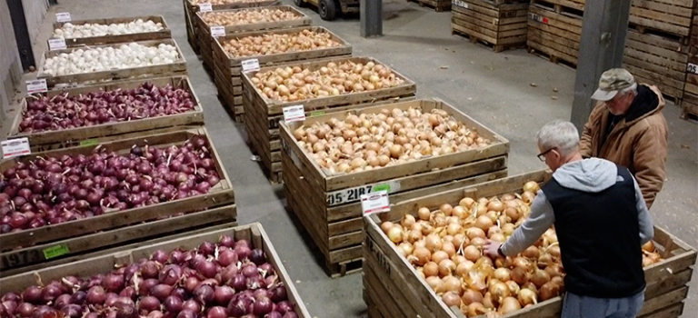 Crookham Onion Storage Review December 2020