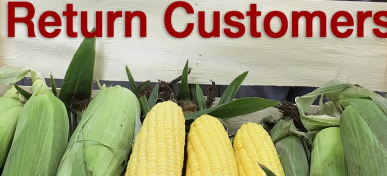 Crookham company, augmented hybrids corn