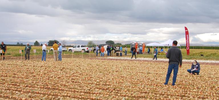 Crookham Summer Onion Show, August 28