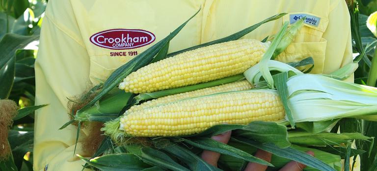 QuadSweets Crookham Company Sweet Corn 