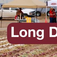 Long Day Onion Show 2018