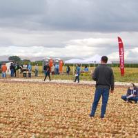 Crookham Summer Onion Show, August 28