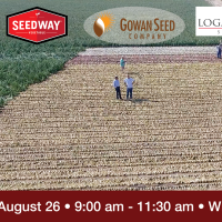 The 2020 Long Day Onion Show