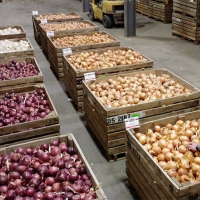 Crookham Onion Storage Review December 2020