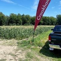 New York State Sweet Corn Trials 2024