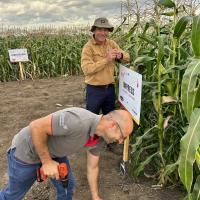 Damien Courtier and Elsoms at trials in Hungary Crookham Sweet Corn Seed 2024