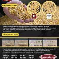 sh2i Fact Sheet Crookham Sweet Corn Seed