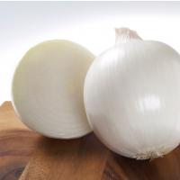 Crookham Onion Great White