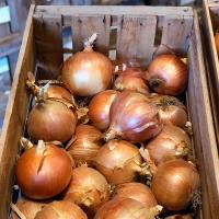 Crookham Onion Caliber