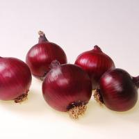 Crookham Onion Seed Red Ranger 15-1041