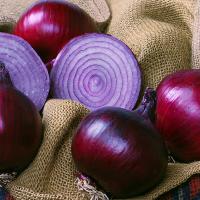 Crookham Onion Seed Red Ranger 15-1041