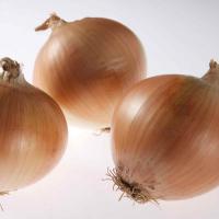 Crookham Onion Somerset