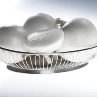 Crookham Onion White Cloud