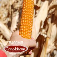 Crookham Popcorn R400MR