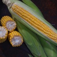 Crookham Sweet Corn Marvel