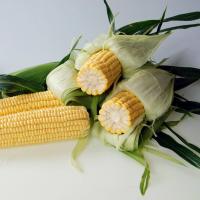 Crookham Sweet Corn Samson