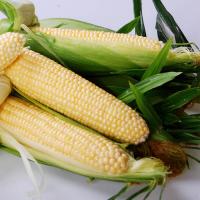 Crookham Sweet Corn Boom!